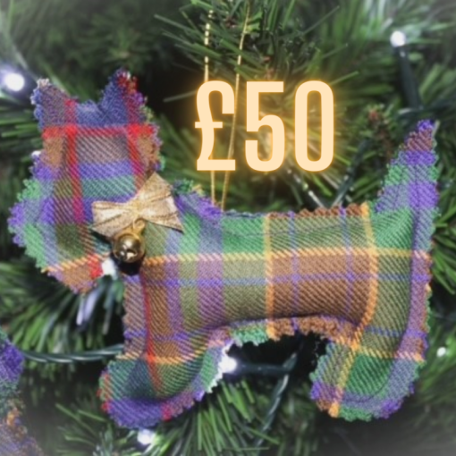 Donate £50 to The Grassmarket Community Project
