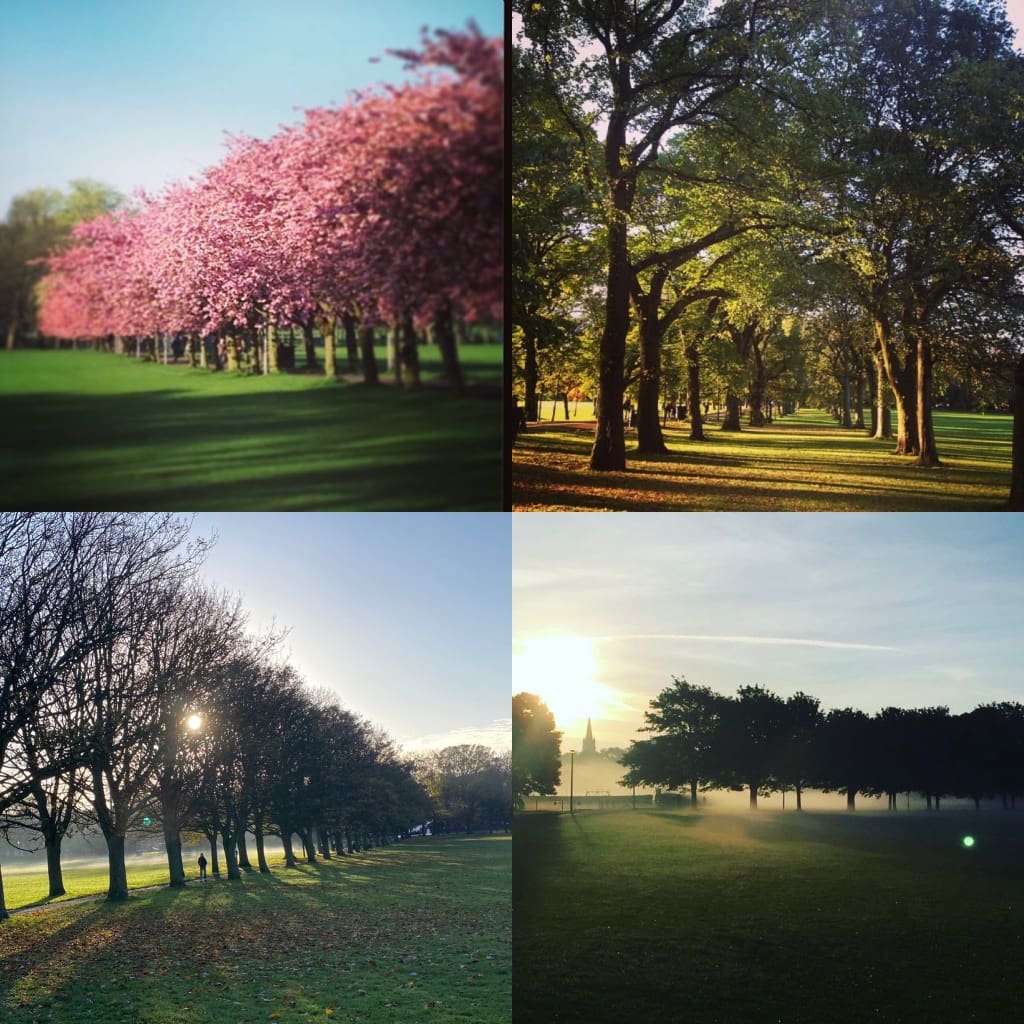 Meadows Walking Group - The Grassmarket Community